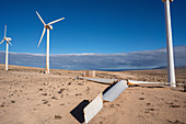 Desert wind farm