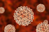 Coronavirus particles, illustration