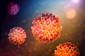 Coronavirus particles, illustration