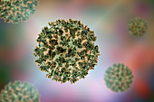 Coronavirus particles, illustration