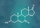 7-Ketodehydroepiandrosterone molecule, illustration