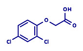 2, 4-D Agent Orange molecule, illustration