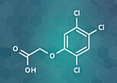 2, 4, 5-trichlorophenoxyacetic acid molecule, illustration