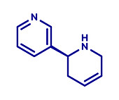 Anatabine alkaloid molecule, illustration