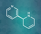 Anatabine alkaloid molecule, illustration