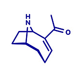 Anatoxin-a molecule, illustration