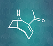 Anatoxin-a molecule, illustration