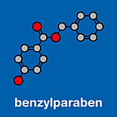 Benzyl paraben preservative molecule, illustration