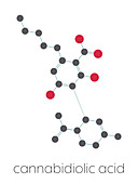 Cannabidiolic acid cannabinoid molecule, illustration