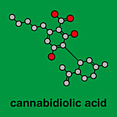 Cannabidiolic acid cannabinoid molecule, illustration