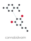 Cannabidivarin cannabinoid molecule, illustration