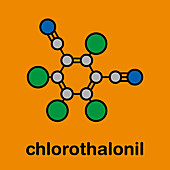 Chlorothalonil pesticide molecule, illustration