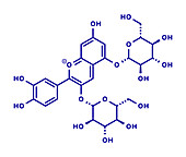 Cyanin molecule, illustration