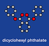 Dicyclohexyl phthalate plasticizer molecule, illustration