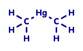 Dimethylmercury molecule, illustration