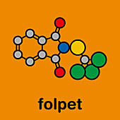 Folpet fungicide molecule, illustration