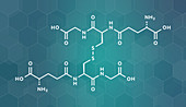 Oxidized glutathione molecule, illustration