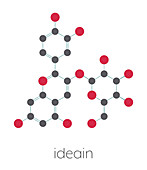 Ideain plant pigment molecule, illustration