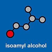 Isoamyl alcohol molecule, illustration