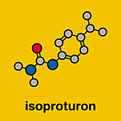 Isoproturon herbicide molecule, illustration