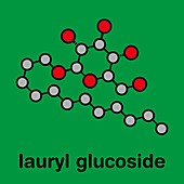 Lauryl glucoside non-ionic surfactant molecule, illustration