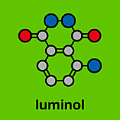 Luminol chemiluminescent molecule, illustration