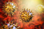 Chickenpox virus, illustration