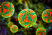St. Louis encephalitis virus particles, illustration