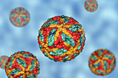 St. Louis encephalitis virus particles, illustration