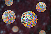 West Nile virus particle, illustration