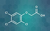 2, 4, 5-trichlorophenoxyacetic acid herbicide, illustration