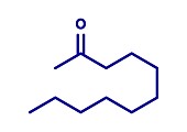 Methyl nonyl ketone insect repellent, illustration
