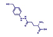 Agaritine mushroom toxin molecule, illustration