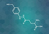 Agaritine mushroom toxin molecule, illustration