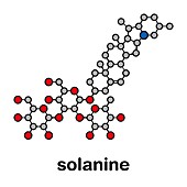 Solanine nightshade poison molecule, illustration