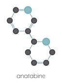 Anatabine alkaloid molecule, illustration