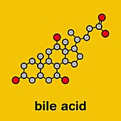 Cholic acid bile acid molecule, illustration