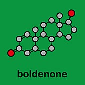 Boldenone anabolic steroid molecule, illustration