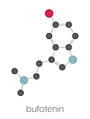Bufotenin molecule, illustration