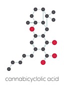 Cannabicyclolic acid cannabinoid molecule, illustration