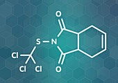 Captan fungicide molecule, illustration