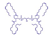 Cardiolipin molecule, illustration