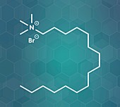 Cetrimonium bromide antiseptic molecule, illustration