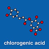Chlorogenic acid herbal molecule, illustration