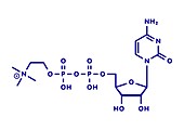 Citicoline molecule, illustration