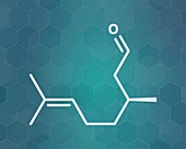 Citronellal citronella oil molecule, illustration