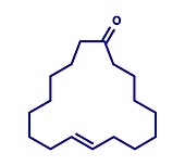 Civetone civet cat pheromone molecule, illustration