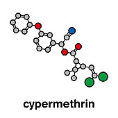 Cypermethrin insecticide molecule, illustration