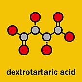 Tartaric acid molecule, illustration