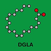 DGLA fatty acid molecule, illustration